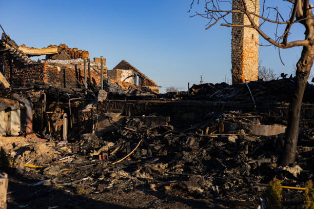 Reliable Content Restoration contractor in The Colony, TX by Meridian Smoke Damage